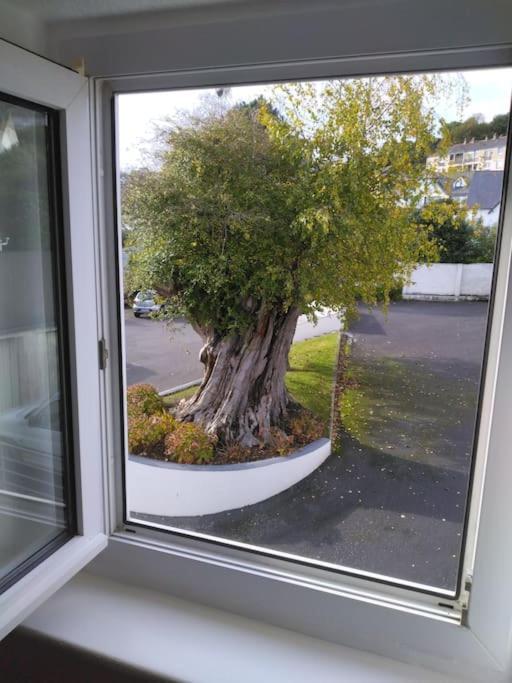 Ch'ty Breizh Appartement *
